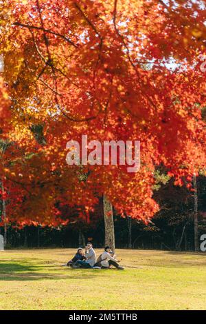 a family having a picnic under an autumn maple tree Stock Photo