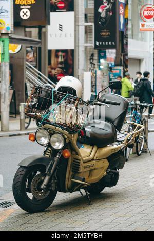 A delivery rider's Honda Big Ruckus PS250 Stock Photo - Alamy A delivery rider's Honda Big Ruckus PS250 Stock Photo - Alamy
