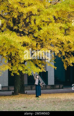 A women enjoying the beauty of autumn leafs Stock Photo