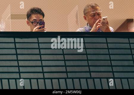 People busy with their phones in a cafe Stock Photo