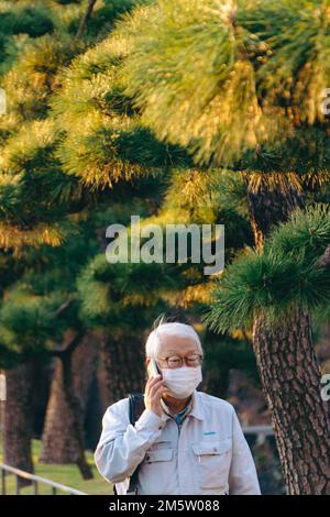 An elderly man talking on the phone among pine trees Stock Photo