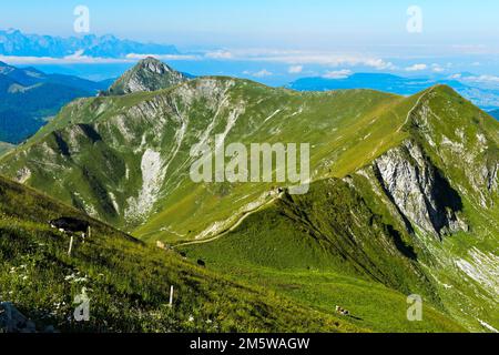 Green Pre-Alpine Landscape in the Gruyere Region, Moleson, Moleson-sur-Gruyeres, Canton Fribourg, Switzerland Stock Photo