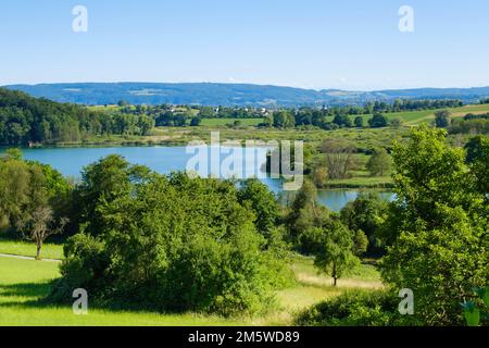 Mindelsee, nature reserve, Radolfzell, Lake Constance, Baden-Wuerttemberg, Germany Stock Photo