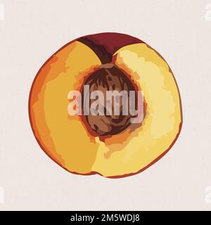 Hand drawn vectorized apricot sticker Stock Vector