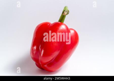 Single vibrant red bell pepper on a white or light background. Healthy food ingredient. Stock Photo