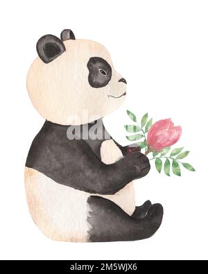 Cute Panda bear wild animal  in cartoon style. Isolated on white background. Stock Photo