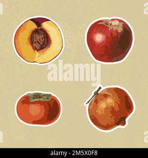 Vectorized tropical fruit sticker collection design elements Stock Vector