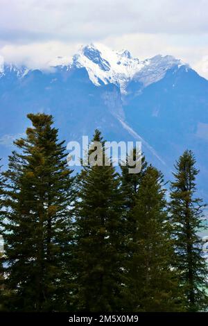 Fir trees and mountaintops in Dec 2022 seen from Les Ecovets above Villars sur Ollon in Switzerland. Stock Photo