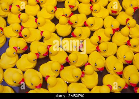Lot of floating Yellow rubber ducks -toy design. team work together. Meetings Community Cooperation Stock Photo