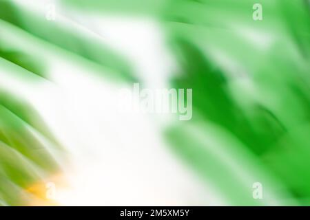 Blur beautiful nature palm leaf nature background. Stock Photo