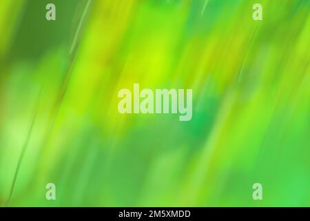 Green and blue abstract defocused motion blurred background.   Acceleration super fast green nature blurred background. Stock Photo