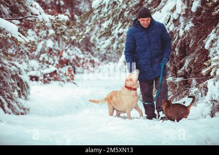 A man with a dog on a leash and a cat walks through a snowy pine forest in winter Stock Photo