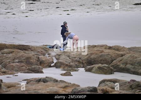 Pacific Grove, California, USA. 31st Mar, 2021. Young bucks having a ...