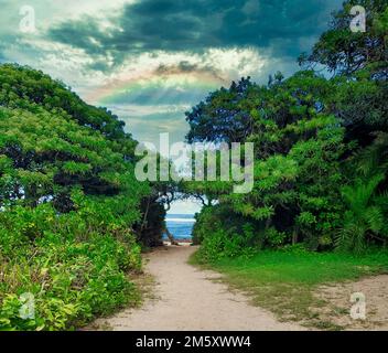The rainbow in the cloudy sky over a scenic beach path surrounded by leafy trees on Oahu island, Hawaii Stock Photo
