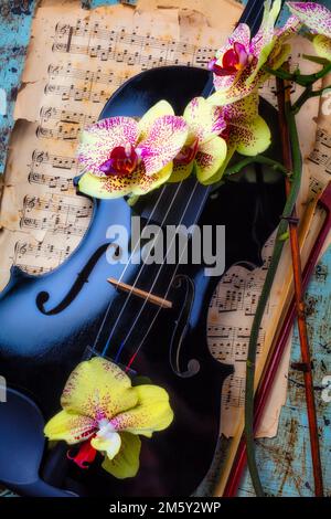 Yellow Orchids On Black Violin Stock Photo