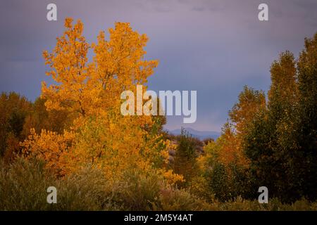 A capture of the transitioning seasons in the Colorado front range, Castle Rock, just south of Denver.  Vibrant colors combined with a calming scene. Stock Photo