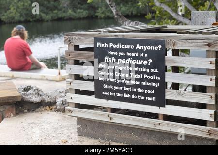 Tourist experiencing a fish pedicure at the Crane Tidal Pool in Marathon, Florida. Stock Photo