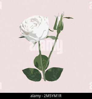 Vectorized white rose flower on a pink background Stock Vector