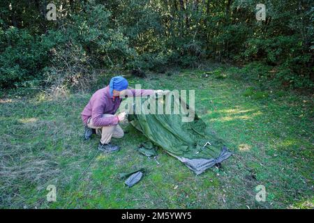man setting up a tent in a forest glade of Sicily in Etna Park, Italy Stock Photo