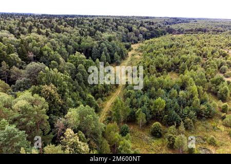 Dirt road going through forest thickets, aerial view Stock Photo