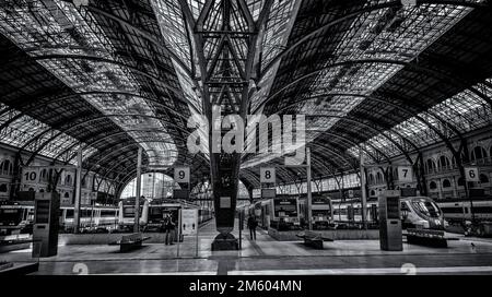 Platforms, Estacio de França (Barcelona França railway station), Barcelona, Catalonia, Spain Stock Photo