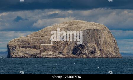 Bass Rock Panorama Stock Photo