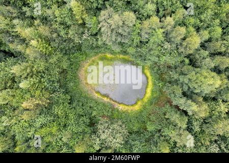 Aerial photograph of small water bodies in the forest, small water bodies directly next to the southern wheel in the forest, drone photograph, Lower Stock Photo