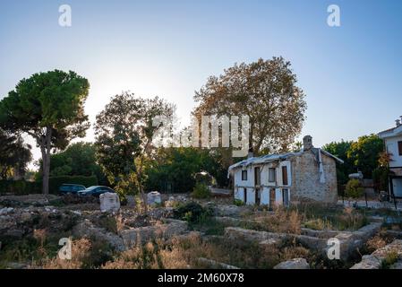 View of plants growing on land in front of old abandoned house Stock Photo