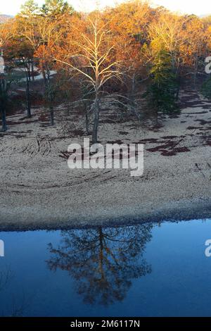 early morning Autumn light on the trees reflected in the river at Jacks Fork River, Eminence, Missouri Stock Photo
