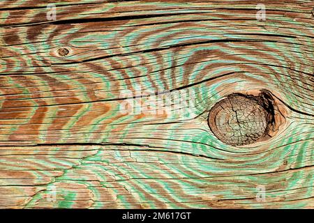 Green and brown colored wood grain with knot hole on park bench in Monterey, California Stock Photo