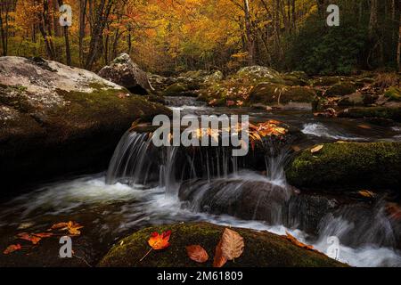 Autumn river scene in the Tremont Section of Great Smoky Mountain National Park near Townsend, Tennessee Stock Photo