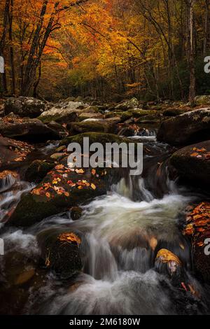 Autumn river scene in the Tremont Section of Great Smoky Mountain National Park near Townsend, Tennessee Stock Photo