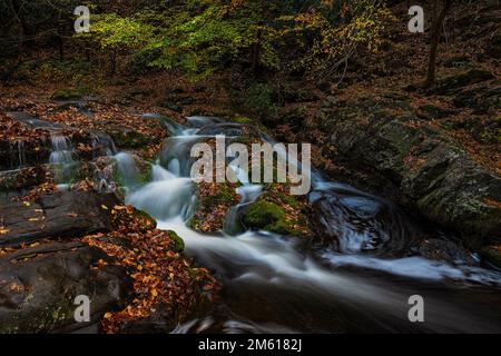 Autumn view of small cascade along the Little Pegeon River in Great Smoky Mountain National Park near Townsend, Tennessee Stock Photo