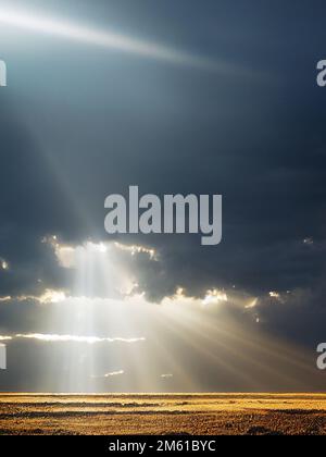 Bright sunlight shining to sand beach. Stock Photo