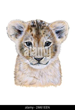 Watercolor illustration of a baby lion portrait. Hand drawn animal on white Stock Photo