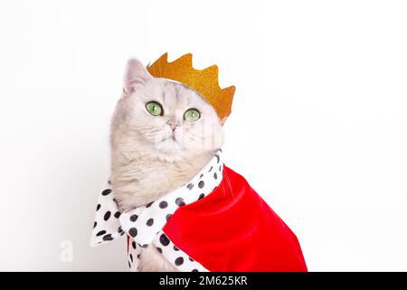 Close up of white cat in a golden crown and red mantle, sitting on a white background Stock Photo