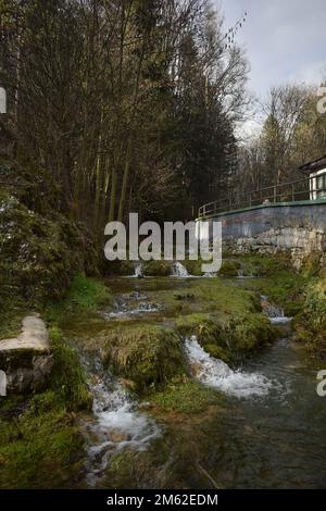 Park Vodice small stream with dams Stock Photo