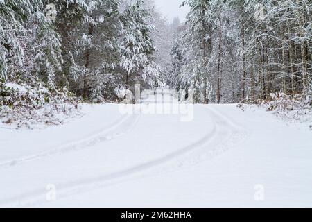 Tire tracks from a single vehicle in the snow leading away on a lonely country road in winter. Stock Photo