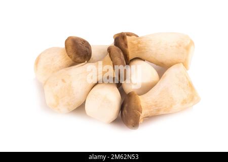 https://l450v.alamy.com/450v/2m62n53/king-oyster-mushroom-pleurotus-eryngii-on-white-background-2m62n53.jpg