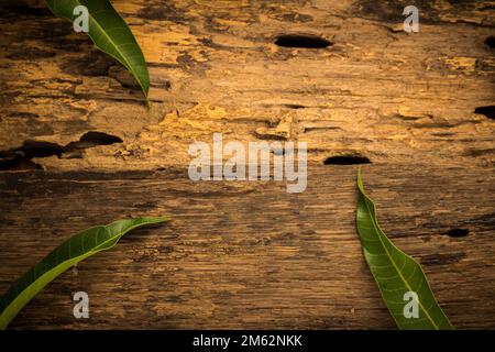 mango on a dark wood background. Stock Photo