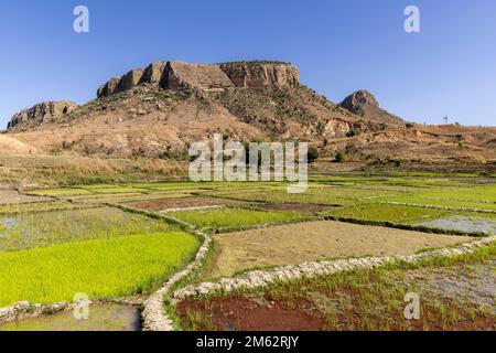 Ranohira rice farmers and terraces near Kirindy, Madagascar, Africa Stock Photo