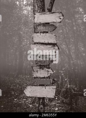 Wooden signs-pointers in a deep dark forest Stock Photo - Alamy