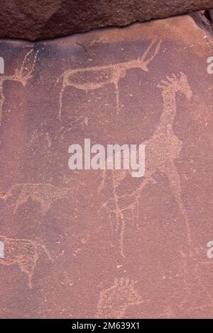 Rock engravings of various animals including giraffe at UNESCO site Twyfelfontein in Namibia. Stock Photo