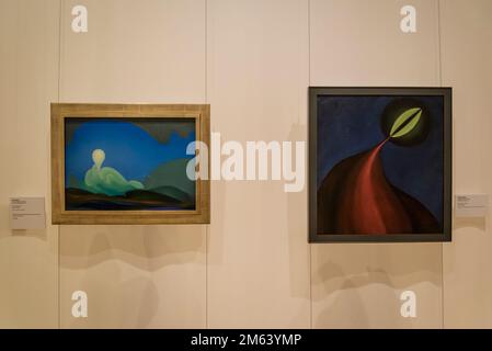Whitney Museum of American Art, focusing on 20th- and 21st-century American Art, New York City, USA Stock Photo