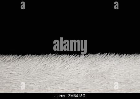 Synthetic fur white texture on black background. Stock Photo