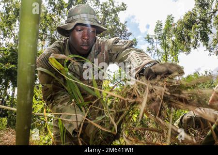 U.S. Army Soldiers from the 130th Engineer Brigade, 8th Military Police Brigade, 10th Support Group, and Security Force Assistance Brigade conduct jungle survival techniques taught by the Papua New Guinea Defense Forces during Tamiok Strike 2022 in Port Moresby, Papua New Guinea, on March 30. The jungle survival training consisted of building a shelter, traps, weapons, fire, and filtering water. The U.S. Army's commitment to our Partners and Allies promote and enable interoperability. Bi-lateral exercises like TK22 directly assist us with promoting Theater Sustainment and U.S. Army Pacific wit Stock Photo