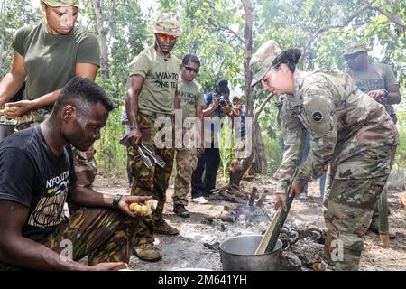 U.S. Army Soldiers from the 130th Engineer Brigade, 8th Military Police Brigade, 10th Support Group, and Security Force Assistance Brigade conduct jungle survival techniques taught by the Papua New Guinea Defense Forces during Tamiok Strike 2022 in Port Moresby, Papua New Guinea, on March 30. The jungle survival training consisted of building a shelter, traps, weapons, fire, and filtering water. The U.S. Army's commitment to our Partners and Allies promote and enable interoperability. Bi-lateral exercises like TK22 directly assist us with promoting Theater Sustainment and U.S. Army Pacific wit Stock Photo