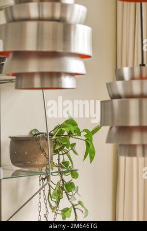 a plant in a pot on top of a shelf with many pots and pans hanging from it's sides Stock Photo