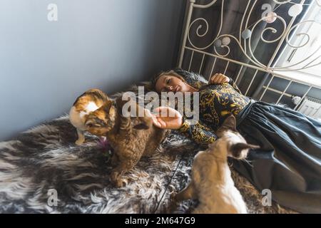 Woman playing with three Devon Rex cats on a bed. High quality photo Stock Photo
