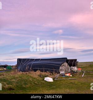 Upturned Herring boats used as storage sheds on Lindisfarne Island, the coast of Northumberland northern England, UK, GB. Stock Photo